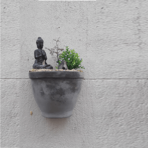 Kleine Buddha-Statue in Meditationshaltung, platziert in einem rustikalen Blumentopf mit einem Bonsai-Bäumchen und grünen Pflanzen, vor einer grauen Wand.