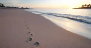 Fußspuren im Sand, die sich entlang eines ruhigen Strandes im Sonnenuntergang erstrecken. Eine metaphorische Darstellung von Wegen, Veränderungen und Achtsamkeit im Leben.