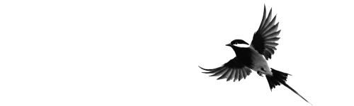 Eine minimalistische Sumi-e-Tuschezeichnung eines kleinen Vogels im japanischen Stil. Das Bild verwendet ausdrucksstarke schwarze Pinselstriche auf weißem Papier und konzentriert sich auf die wesentliche Form, Bewegung und den negativen Raum, um eine ruhige und elegante Zen-Ästhetik zu erzeugen.