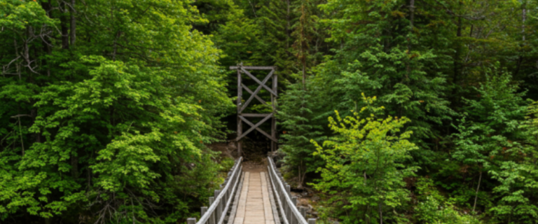 Eine malerische Holzbrücke spannt sich über einen klaren, blauen Fluss, der durch einen lebendigen Wald fließt.