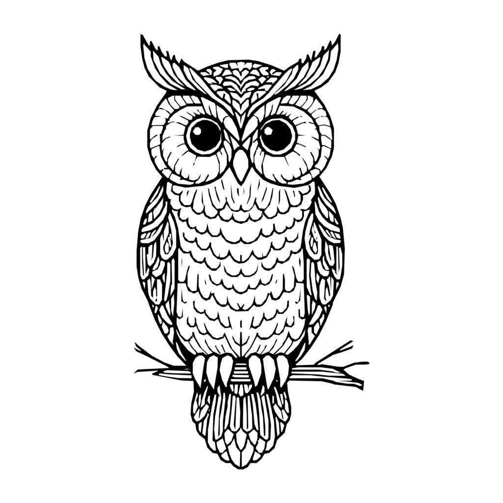 Illustration einer weisen Eule als Symbol für die mentalen Effekte von Zen-Meditation bei Zen-Meditation Berlin: mehr Klarheit, Fokus und Weisheit.