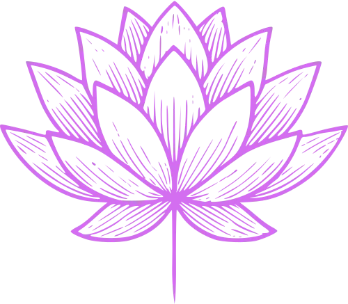 Stilisierte, lilafarbene Zeichnung einer Lotusblume, das Symbol für Reinheit und geistige Klarheit.