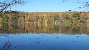 Herbstlandschaft mit einem ruhigen See, der die leuchtenden Farben des Waldes spiegelt. Ein Sinnbild für die innere Transformation und den Neubeginn aus Zen-Perspektive.