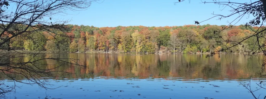Herbstlandschaft mit einem ruhigen See, der die leuchtenden Farben des Waldes spiegelt. Ein Sinnbild für die innere Transformation und den Neubeginn aus Zen-Perspektive.
